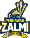 Peshawar Zalmi logo